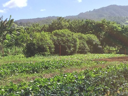 HI50 S6 2015-12-15 13.39.00