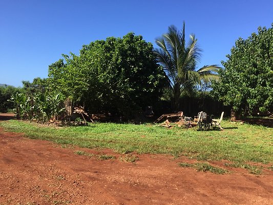 HI50 S6 2015-12-15 13.31.25