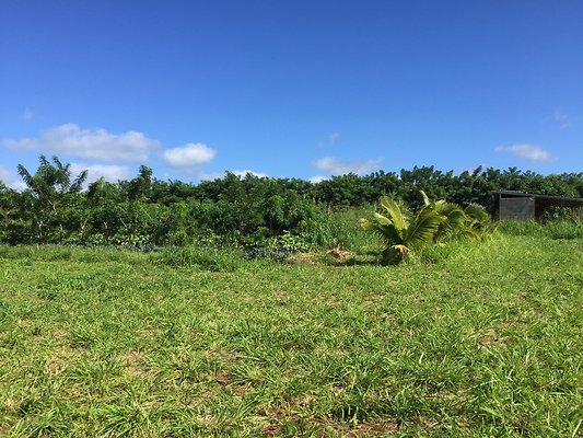 HI50 S6 2015-12-15 13.28.06