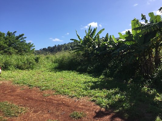 HI50 S6 2015-12-15 13.23.36