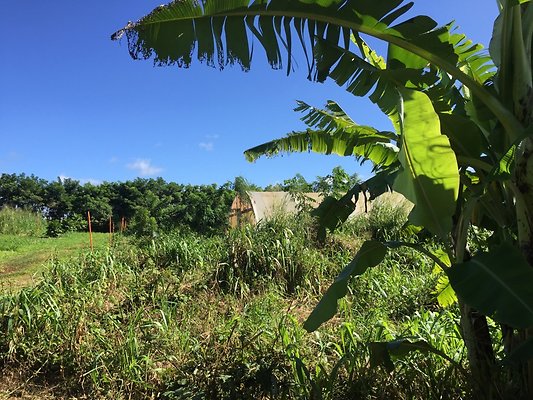 HI50 S6 2015-12-15 13.29.12