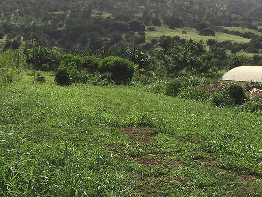 HI50 S6 2015-12-15 13.43.40