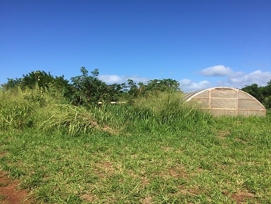 HI50 S6 2015-12-15 13.28.03