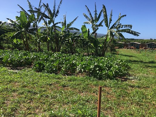 HI50 S6 2015-12-15 13.40.59