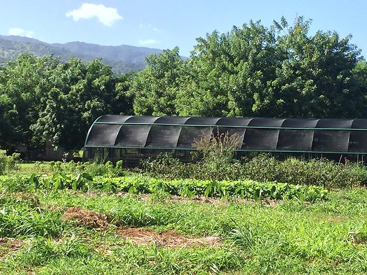 HI50 S6 2015-12-15 13.43.45