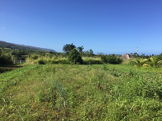 HI50 S6 2015-12-15 13.23.53