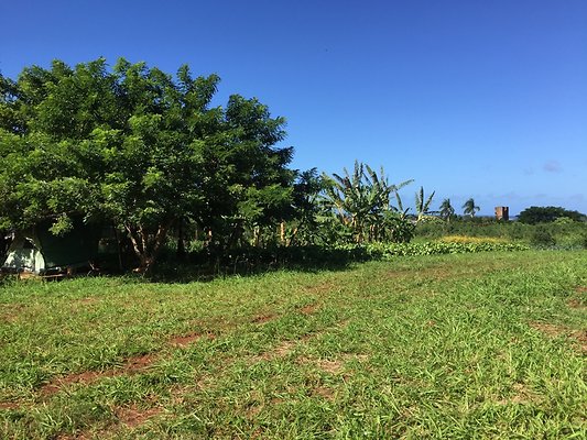 HI50 S6 2015-12-15 13.42.10