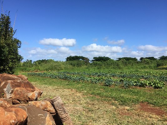 HI50 S6 2015-12-15 13.37.41