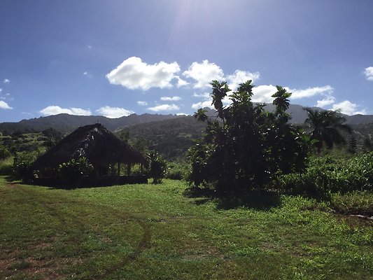 HI50 S6 2015-12-15 13.31.01