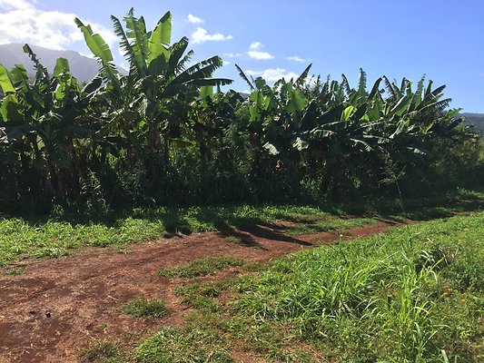 HI50 S6 2015-12-15 13.23.51