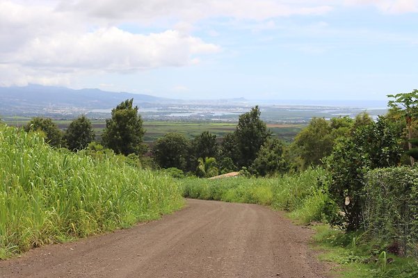 Various Lots &amp; Houses