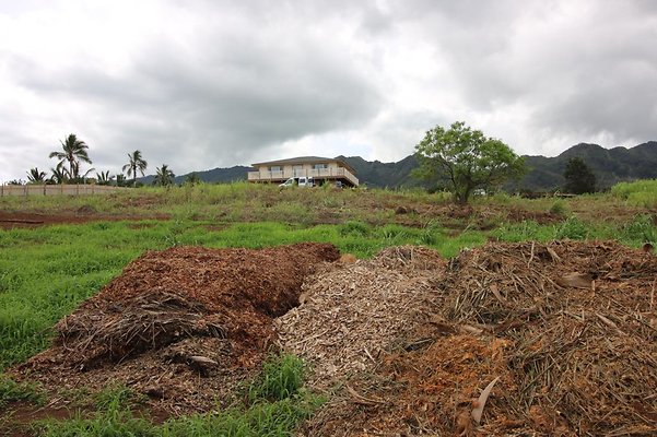 th 09b Veronica 808.590.1371