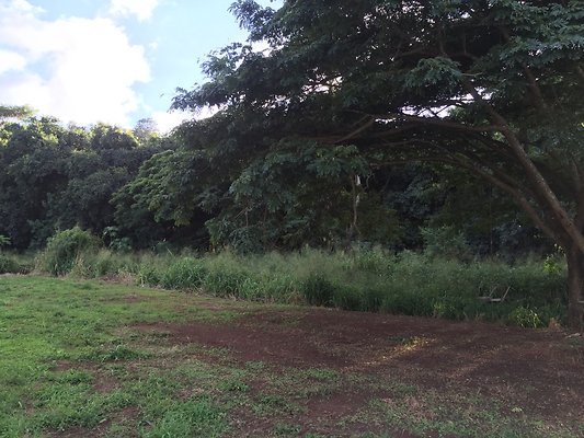 HI50 S6 2015-12-15 16.45.39