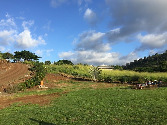 HI50 S6 2015-12-15 16.44.18