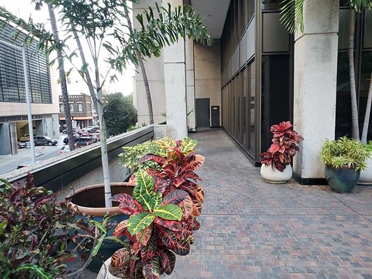 Davies Pacific Ctr - Mezzanine &amp; Rooftop