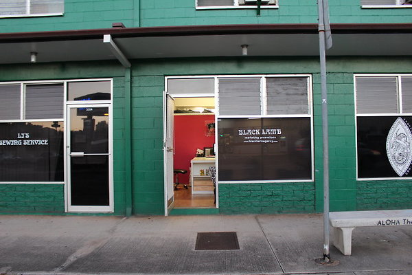 Black Lamb Marketing &amp; Promotions- 3326 Campbell Ave- Dana Black- 351.7528