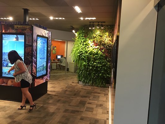 HI50 S6 2015-11-10 16.35.47