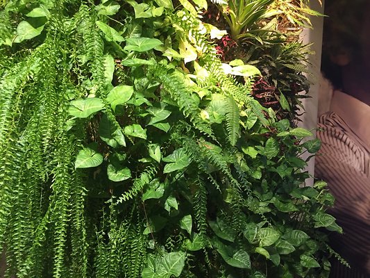 HI50 S6 2015-11-10 16.37.14