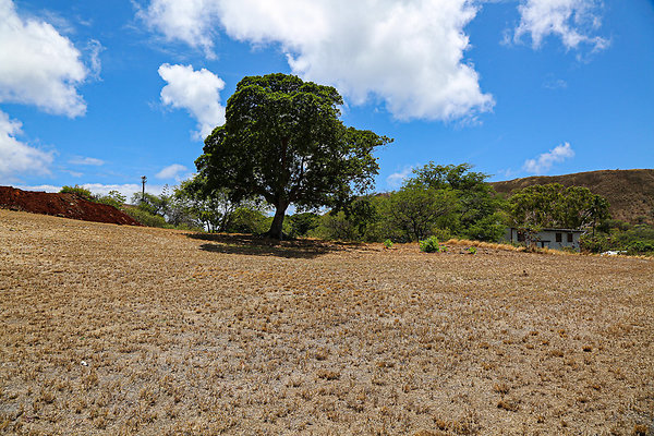 20190904-KCC Lot 021