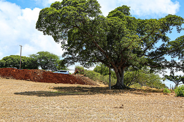 20190904-KCC Lot 027