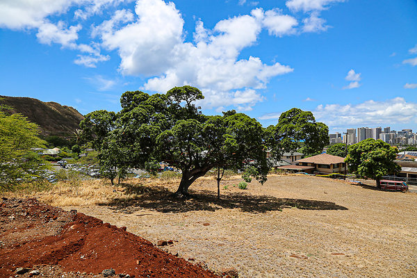 20190904-KCC Lot 011