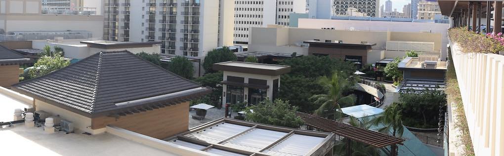 th IMG 1173 IMG 1175