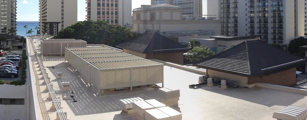 th IMG 1156 IMG 1158