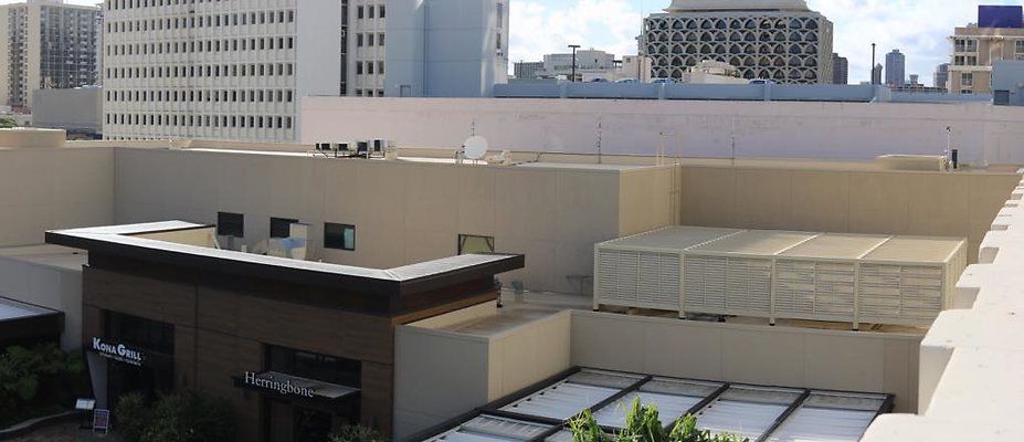 th IMG 1137 IMG 1139