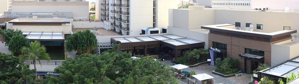 th IMG 1132 IMG 1135