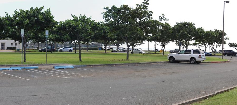 th IMG 0171 IMG 0172