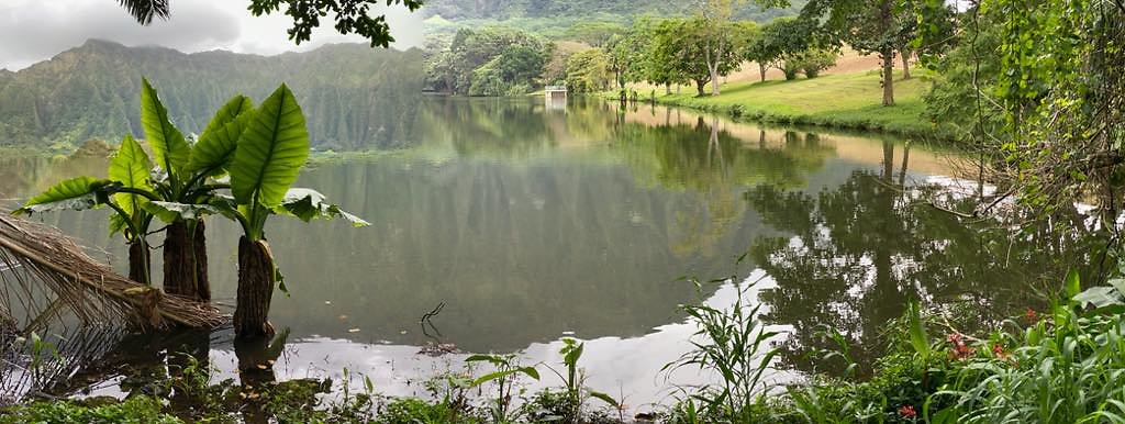 th IMG 3078 IMG 3086