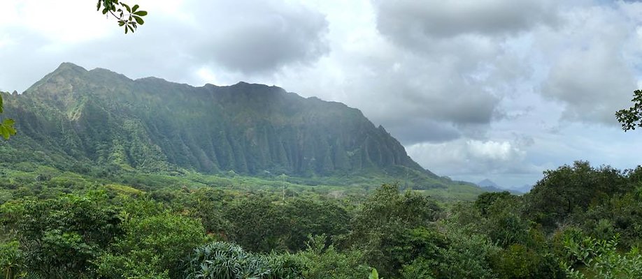 th IMG 2296 IMG 2303