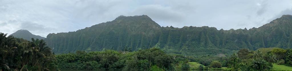 th IMG 3337 IMG 3341