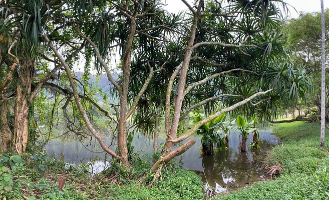 th IMG 3145 IMG 3153