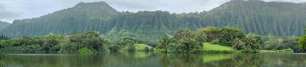 th IMG 3354 IMG 3358