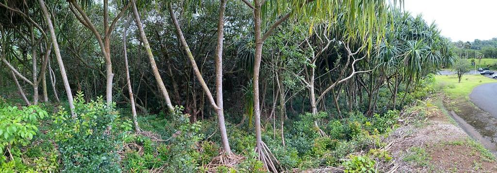 th IMG 2428 IMG 2434