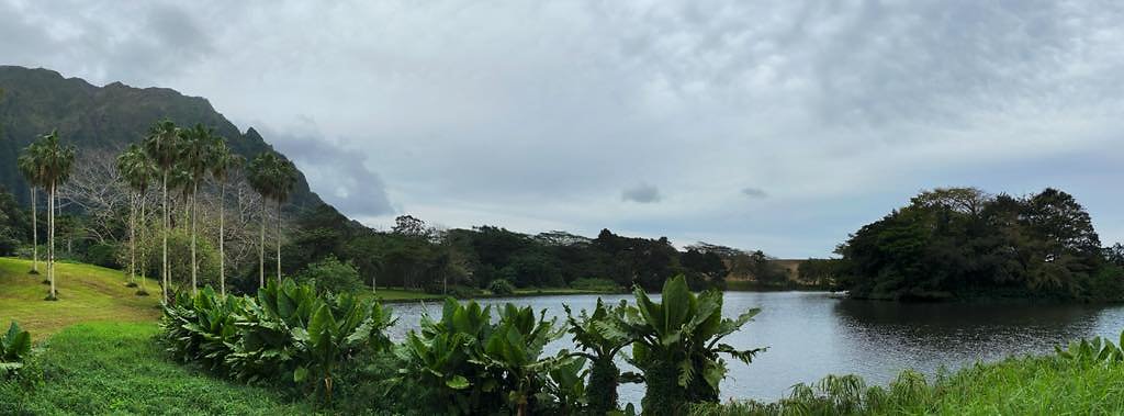 th IMG 2882 IMG 2896