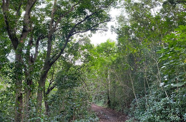 th IMG 2514 IMG 2517