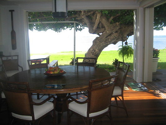 Copy of Puchi  Paiko (4)