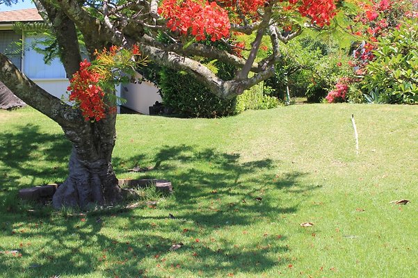 HI50 S5 5426KirkwoodPl IMG 6096