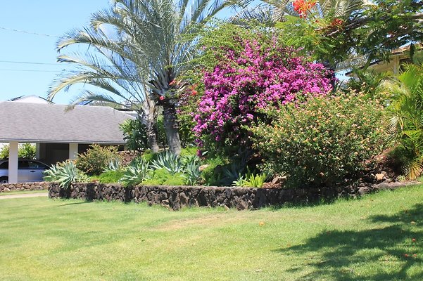 HI50 S5 5426KirkwoodPl IMG 6094