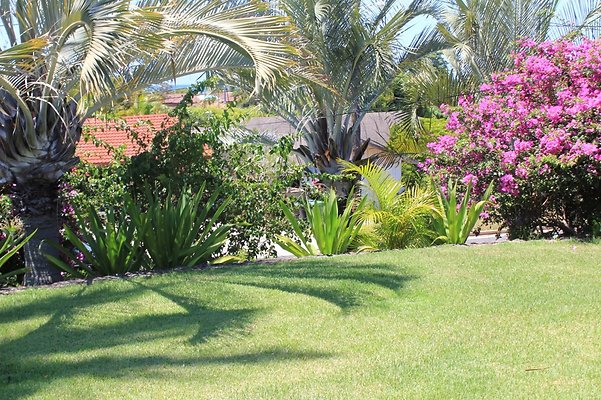 HI50 S5 5426KirkwoodPl IMG 6090