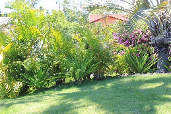 HI50 S5 5426KirkwoodPl IMG 6089