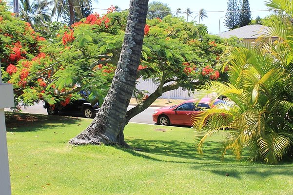 HI50 S5 5426KirkwoodPl IMG 6088