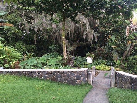 HI50 S6 Nuuanu 51 Kepola Pl 25.37