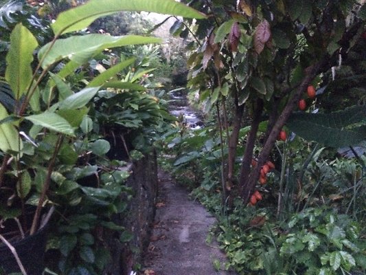 HI50 S6 Nuuanu 51 Kepola Pl 24.41