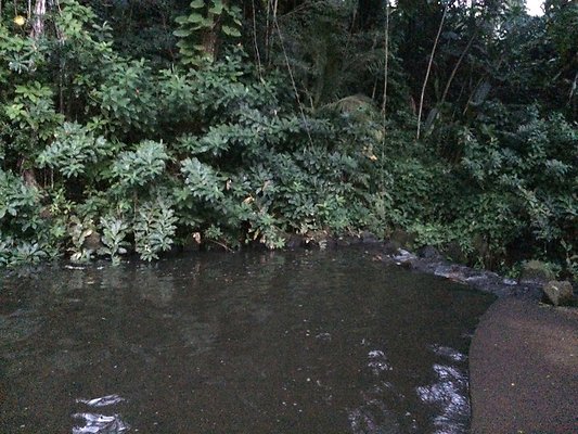 HI50 S6 Nuuanu 51 Kepola Pl 23.23