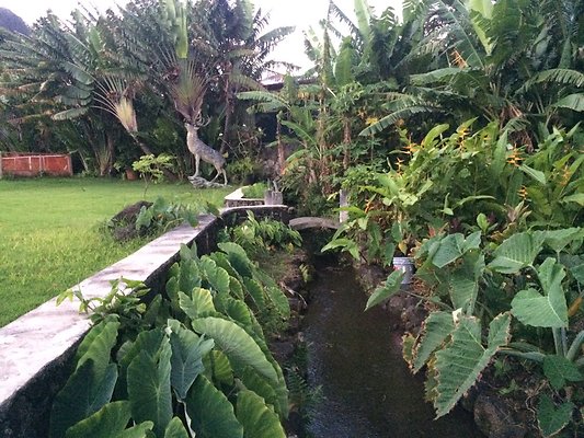 HI50 S6 Nuuanu 51 Kepola Pl 25.08