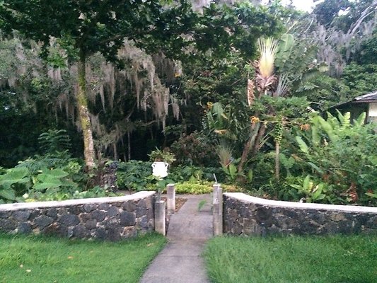 HI50 S6 Nuuanu 51 Kepola Pl 25.29