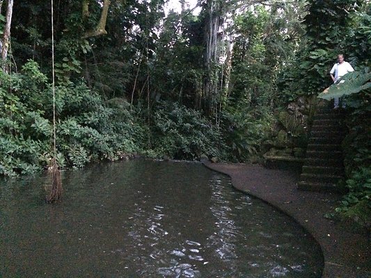 HI50 S6 Nuuanu 51 Kepola Pl 23.58